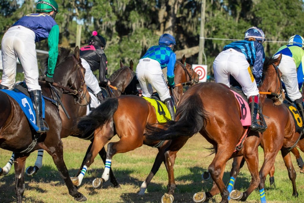 History of Jockey Silks – Steeplechase of Charleston
